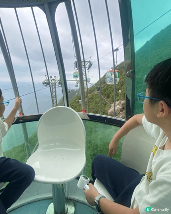 海洋公園係香港歷史悠久且最具代表性的非牟利主題樂園，結合了海...