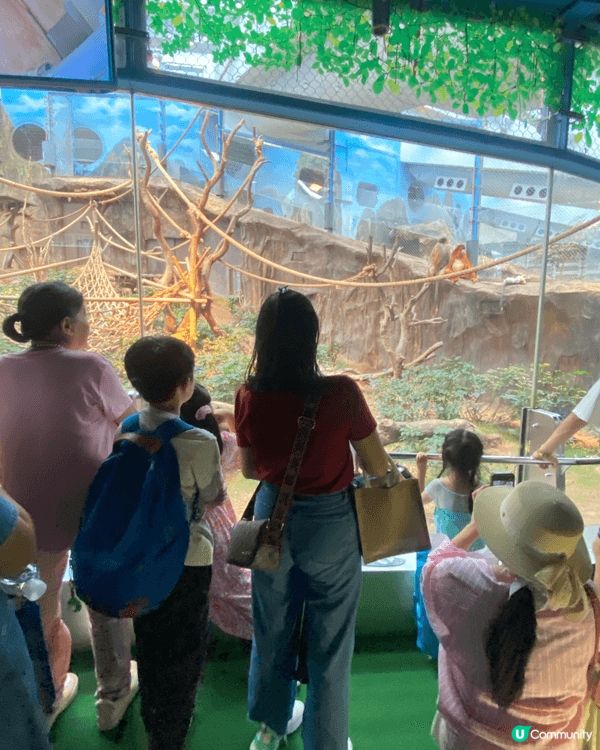 海洋公園係香港歷史悠久且最具代表性的非牟利主題樂園，結合了海...