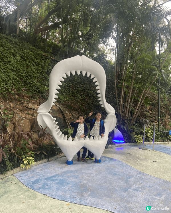 海洋公園係香港歷史悠久且最具代表性的非牟利主題樂園，結合了海...
