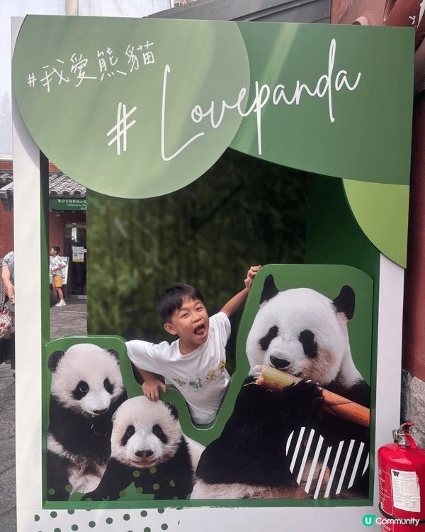 夏天去海洋公園不為過！可以邊歎冷氣邊探可愛既熊貓加加，德德，...
