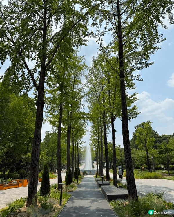 在韓國夏日風景及天氣實在十分好，風和日麗，帶埋小朋友去十分放...