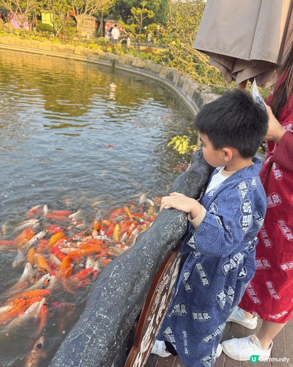 第一張是去餵錦鯉，在御溫泉，第二張是尖沙咀停泊的郵輪，第三張...