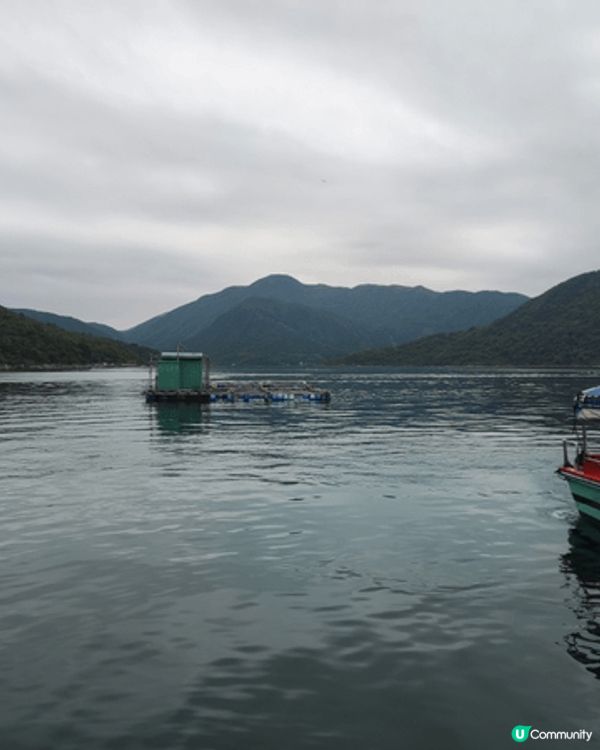 位於西貢黃石碼頭距離不遠嘅魚排(漁家漁場）, 有新鮮海魚 養...