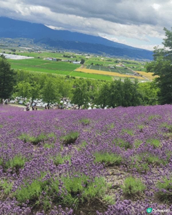 暑期去了北海道亂駕遊，開心舒服，減壓日日食訓玩買。好不捨回港...
