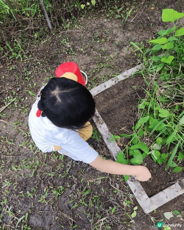 新界農場