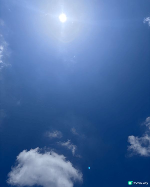 炎炎夏日，初次嘗試和朋友去哥爾夫球場打球，還品嚐了美味的下午...