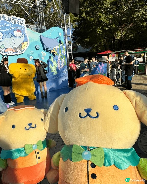 這四張相片記錄了我與海洋公園及布甸狗的美好時光！第一、二張捕...