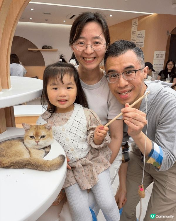 夏日炎炎，當然係去動物Cafe同小動物互動打卡啦。涼浸浸之餘...