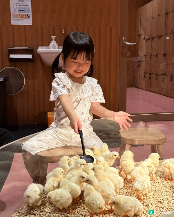 夏日炎炎，當然係去動物Cafe同小動物互動打卡啦。涼浸浸之餘...