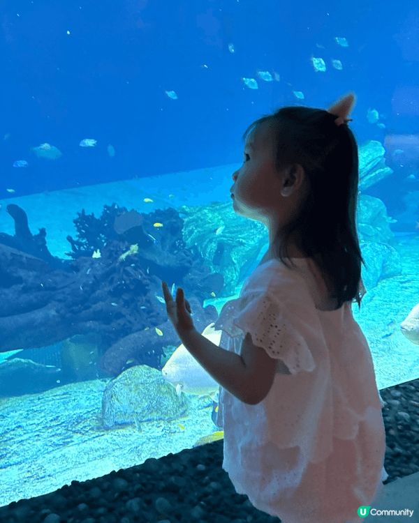 海洋公園同珠海長隆。 女女發現新大陸海底好多嘢睇。