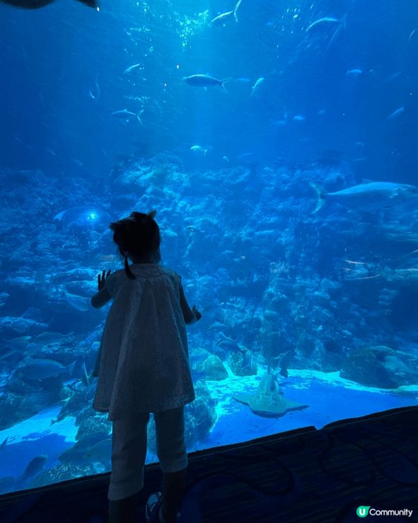 海洋公園同珠海長隆。 女女發現新大陸海底好多嘢睇。