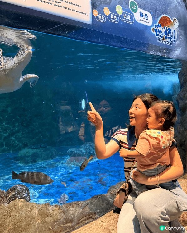 第一次出發到海洋公園