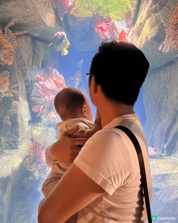 之前帶咗BB去海洋公園玩，佢好鍾意睇魚，園內又有好多打卡位，...