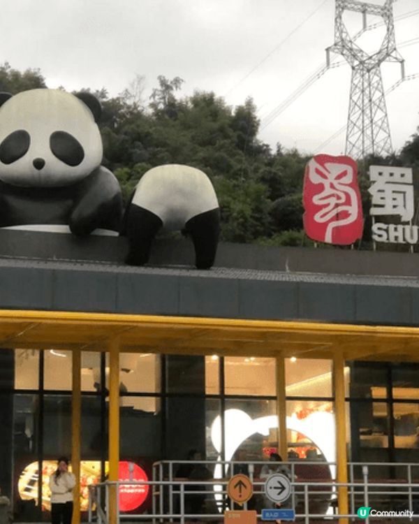 以上是成都，去了熊貓館參觀熊貓，仲有當地嘅成都特色美食，很值...