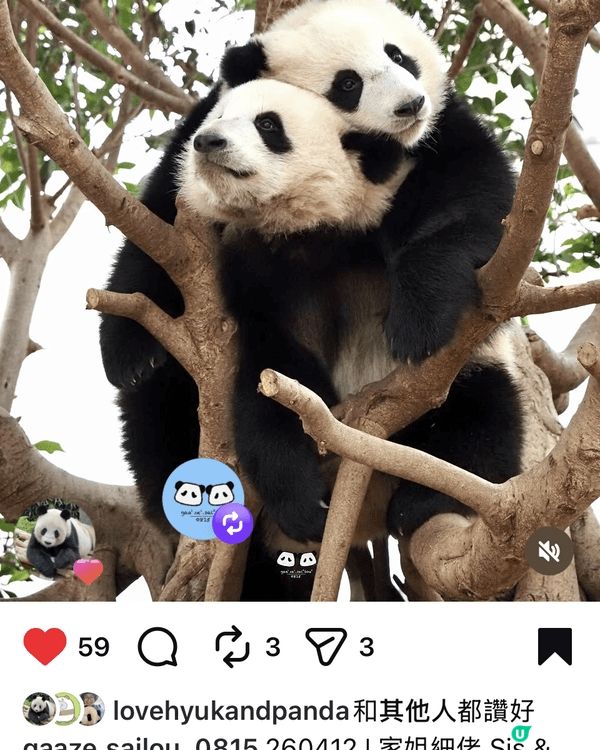 致海洋公司執事：