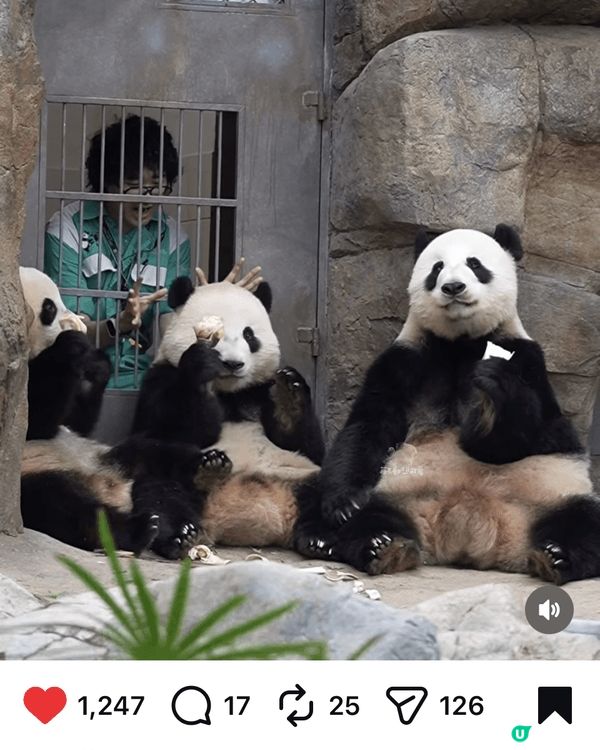 致海洋公司執事：