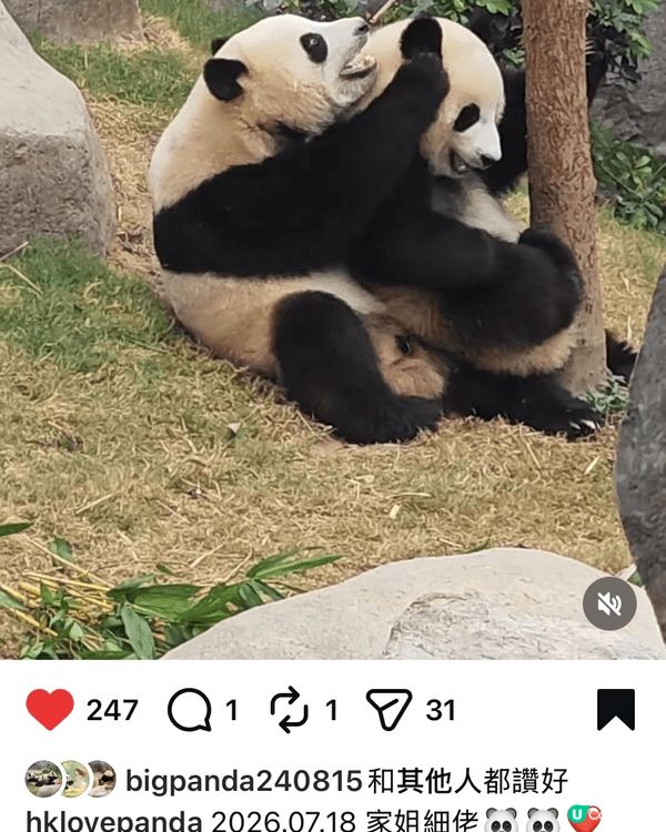 致海洋公司執事：