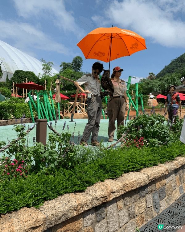 炎炎夏日最啱帶埋BB去海洋公園睇小動物