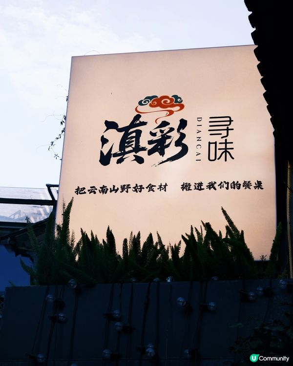 雙廊洱海边寶藏雲南菜🥳