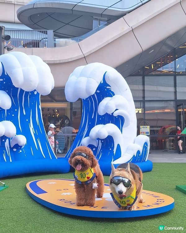 萌寵夏運會！🐶💦 放電打卡必去！