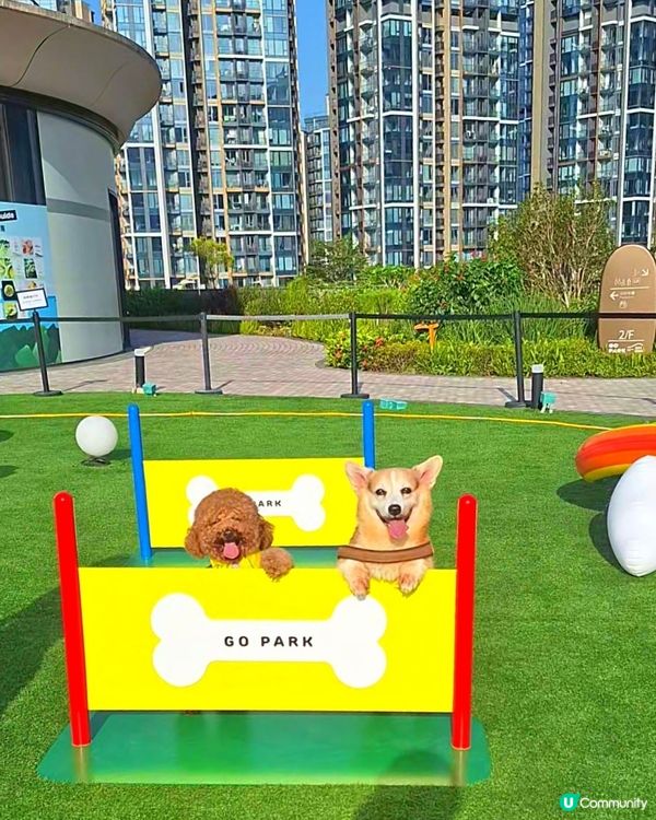 萌寵夏運會！🐶💦 放電打卡必去！
