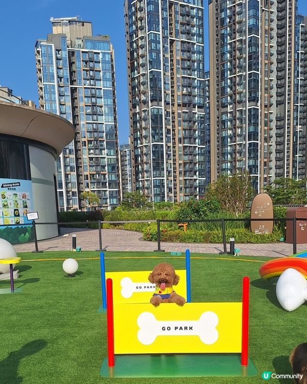 萌寵夏運會！🐶💦 放電打卡必去！