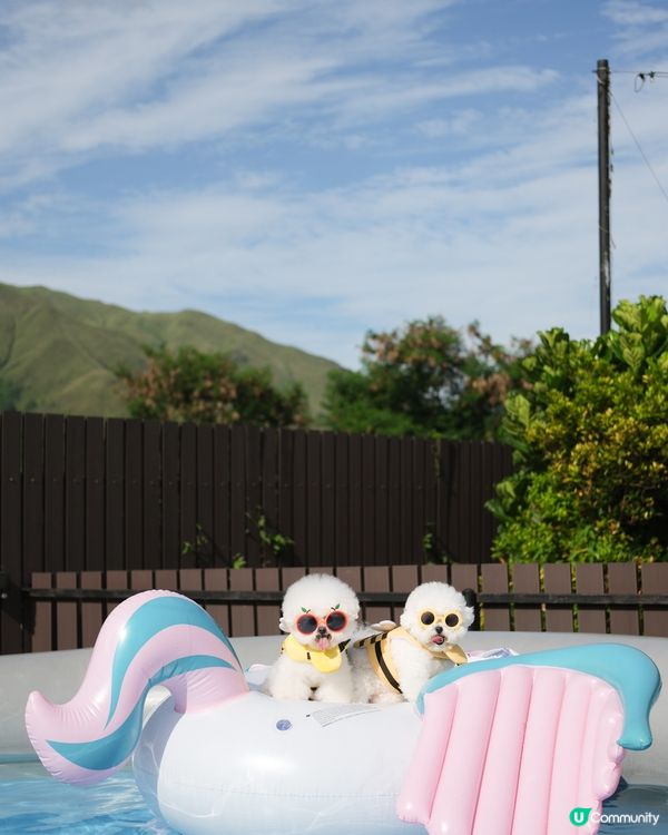 夏天必去🐶💦 小巴直達！
