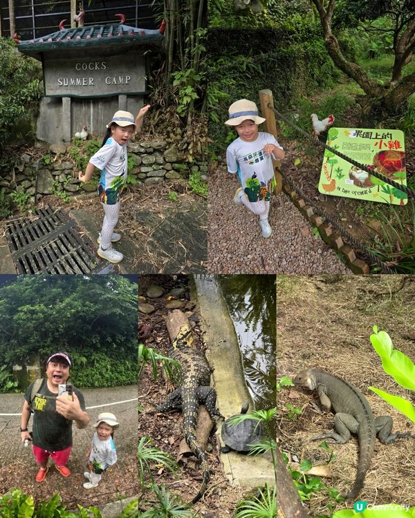 嘉道理農場暨植物園70週年🏞