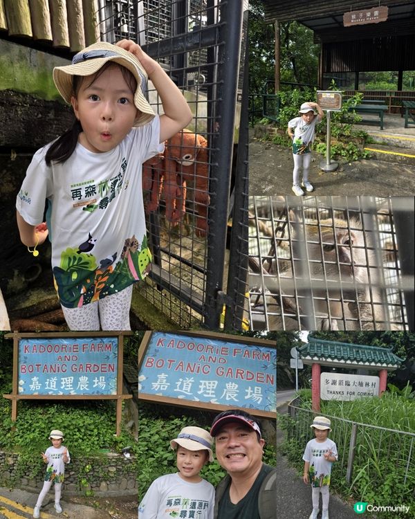 嘉道理農場暨植物園70週年🏞