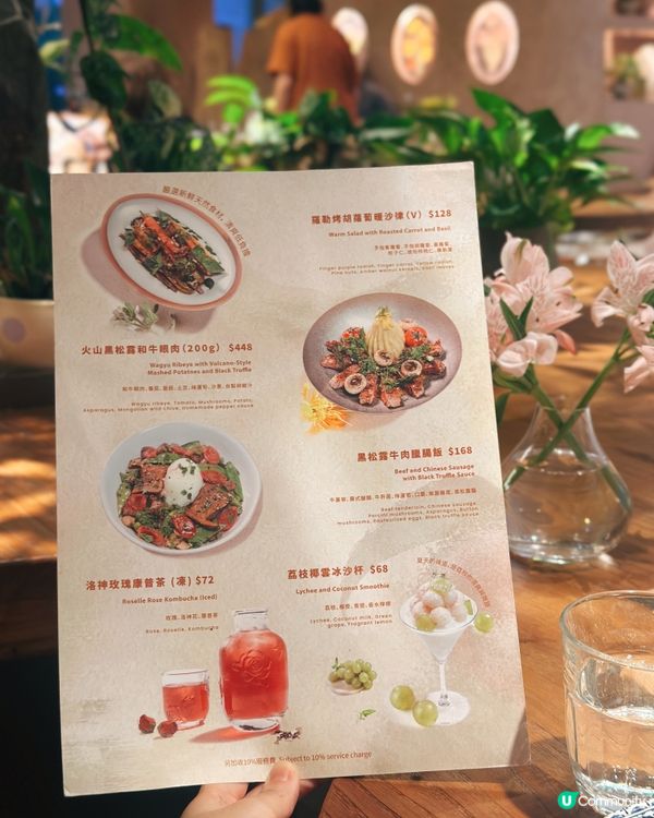 ☀️陽光與植物包圍|啟德最美森系花園CAFÉ🪴