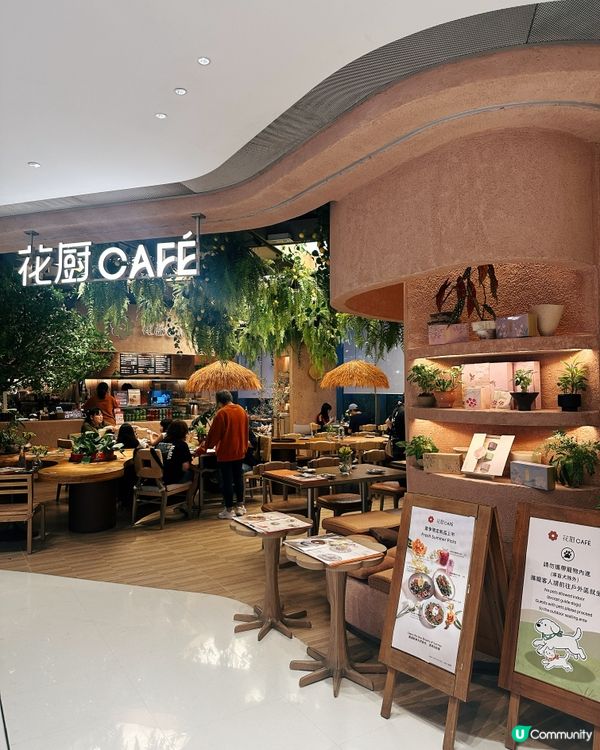 ☀️陽光與植物包圍|啟德最美森系花園CAFÉ🪴