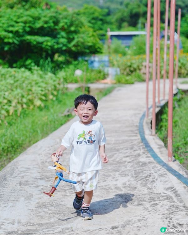 🌻 信芯園：與向日葵的一小時🌻