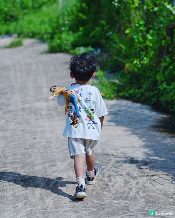 🌻 信芯園：與向日葵的一小時🌻