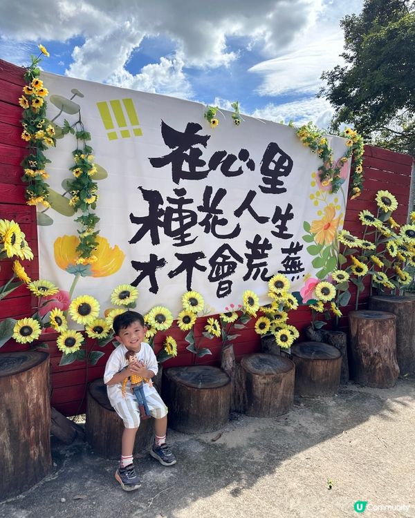 🌻 信芯園：與向日葵的一小時🌻