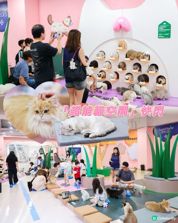 【🤩三伏天北上養生之旅全攻略❣️】