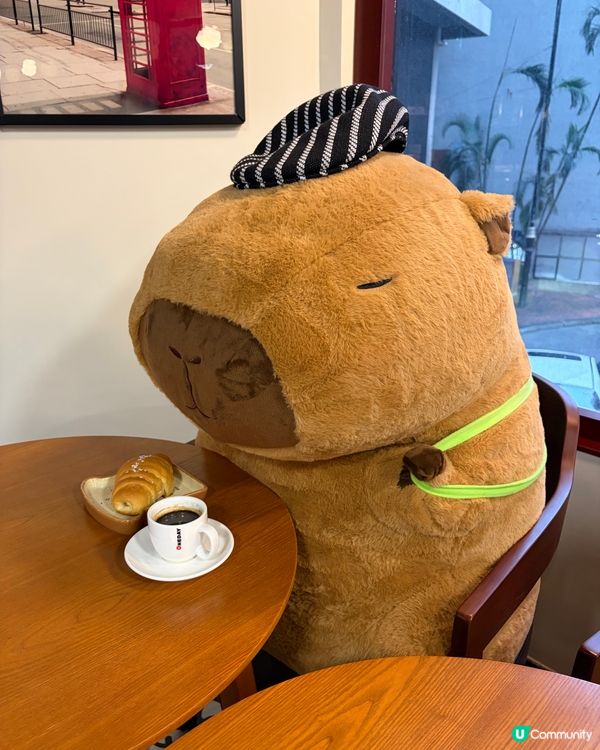 暖心韓式小食與咖啡時光 ☕️🇰🇷