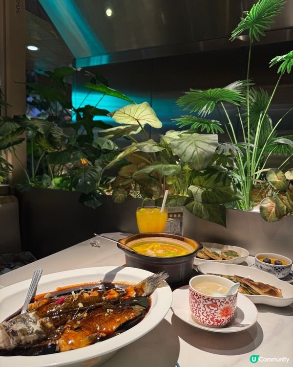  綠茶餐廳（旺角）