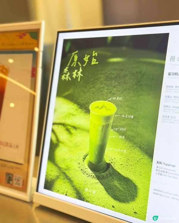台灣高山烏龍茶