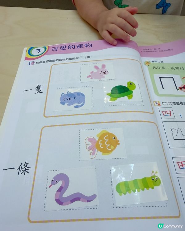 暑期學嘢✨ 考試升班要裝備！📚
