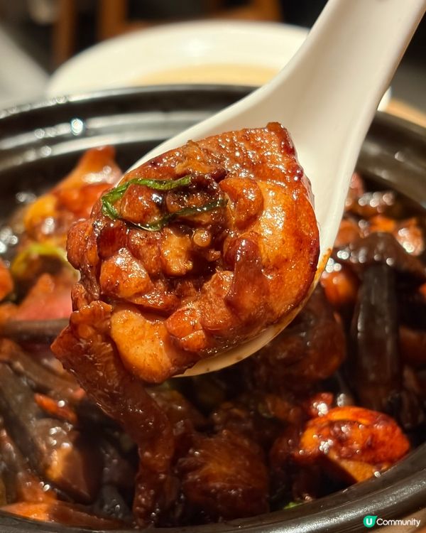 上海姥姥🍜限定鮑魚鮮味二人套餐！