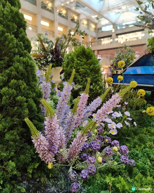 🌷我愛花花🌷之置地廣場靚花園💐