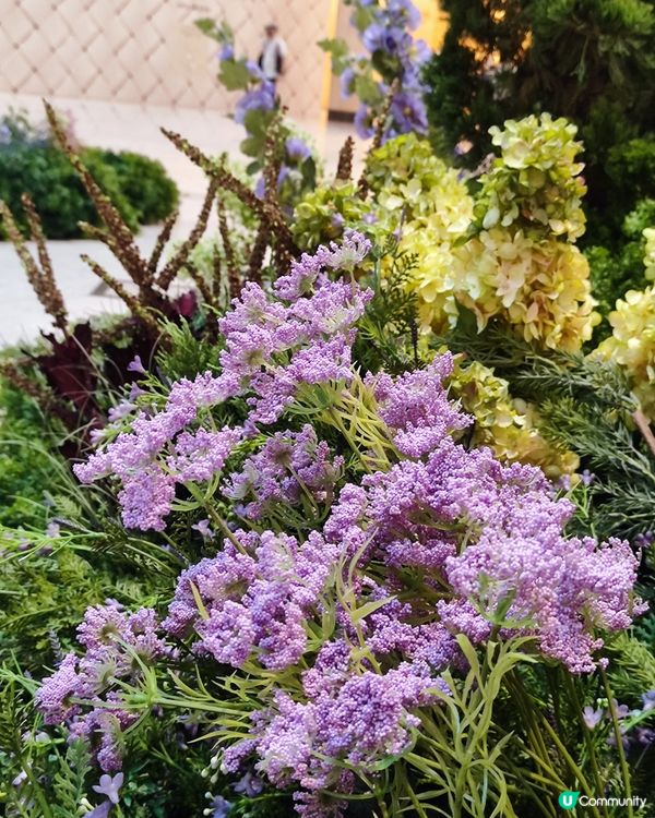 🌷我愛花花🌷之置地廣場靚花園💐