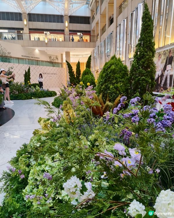 🌷我愛花花🌷之置地廣場靚花園💐