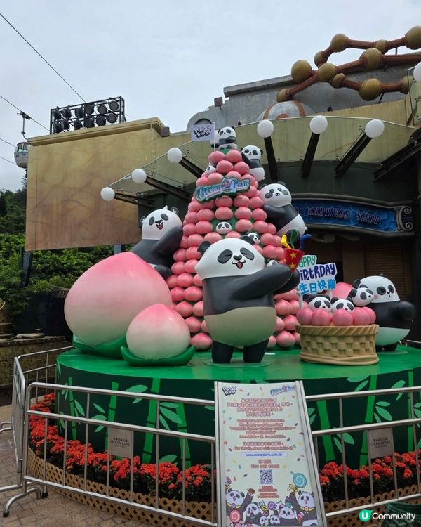 夏日熊貓生日派對！🥳🐼