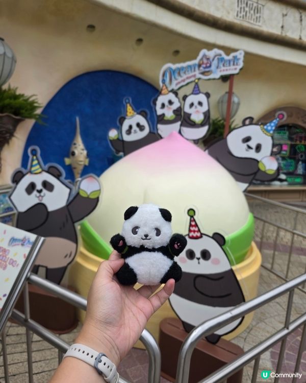 夏日熊貓生日派對！🥳🐼