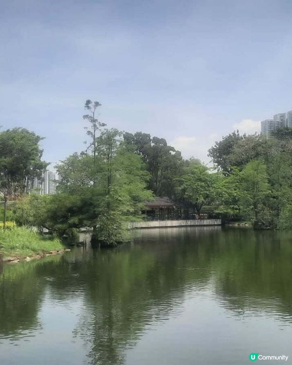 北區公園 秘境尋幽 🌳 💧 🌸