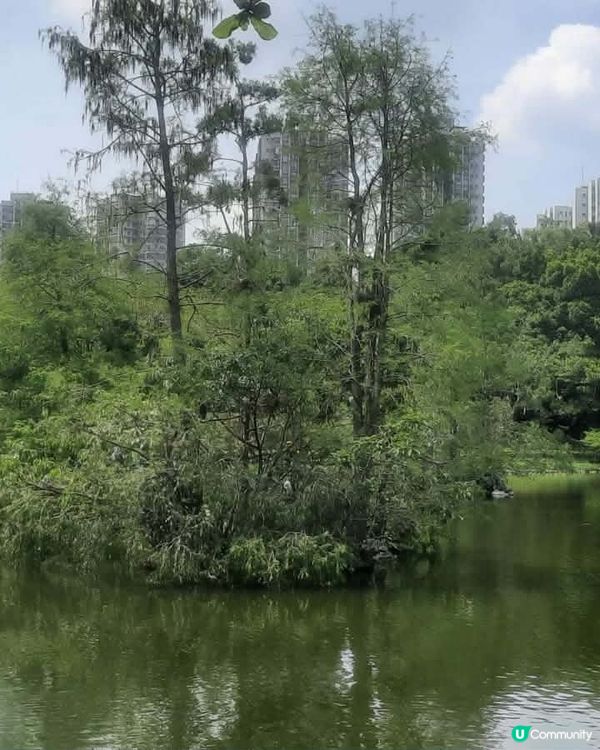 北區公園 秘境尋幽 🌳 💧 🌸