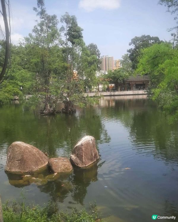 北區公園 秘境尋幽 🌳 💧 🌸