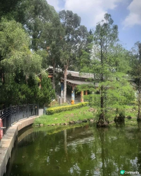 北區公園 秘境尋幽 🌳 💧 🌸