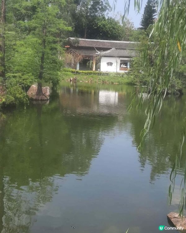 北區公園 秘境尋幽 🌳 💧 🌸